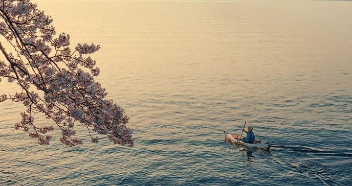 landscape, nature, lake, lake biwa, island, spring, sakura, canoe, early morning, japan